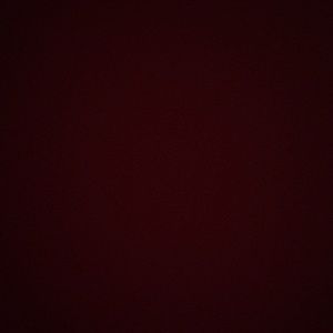 Lulu lemon and Nike tank